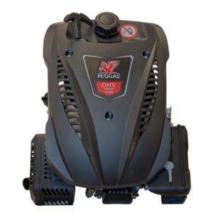 Petrol engine Peggas EB001-DV196